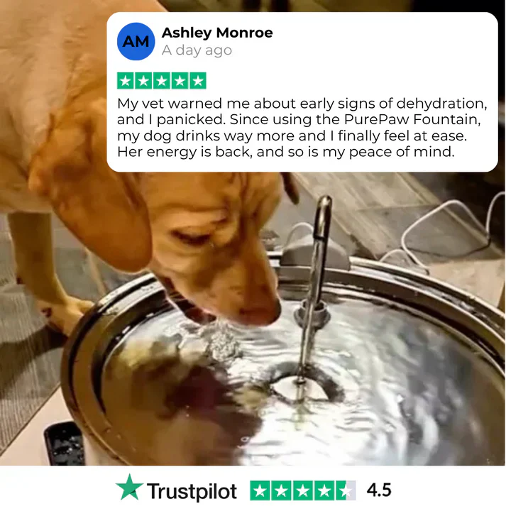 Health and Happiness Fountain Kit