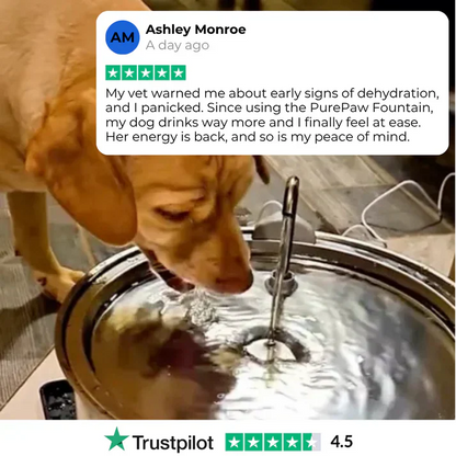 Health and Happiness Fountain Kit