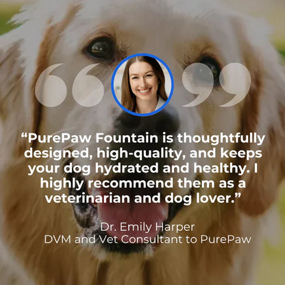 Health and Happiness Fountain Kit