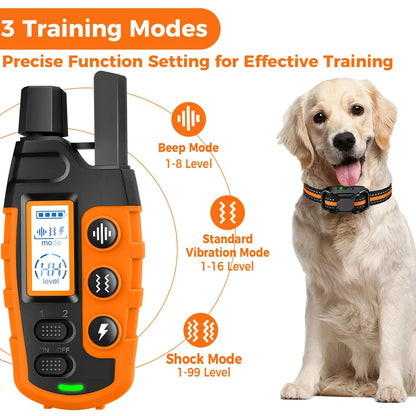 All-in-One Dog Training Collar