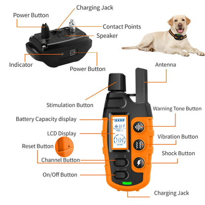 All-in-One Dog Training Collar