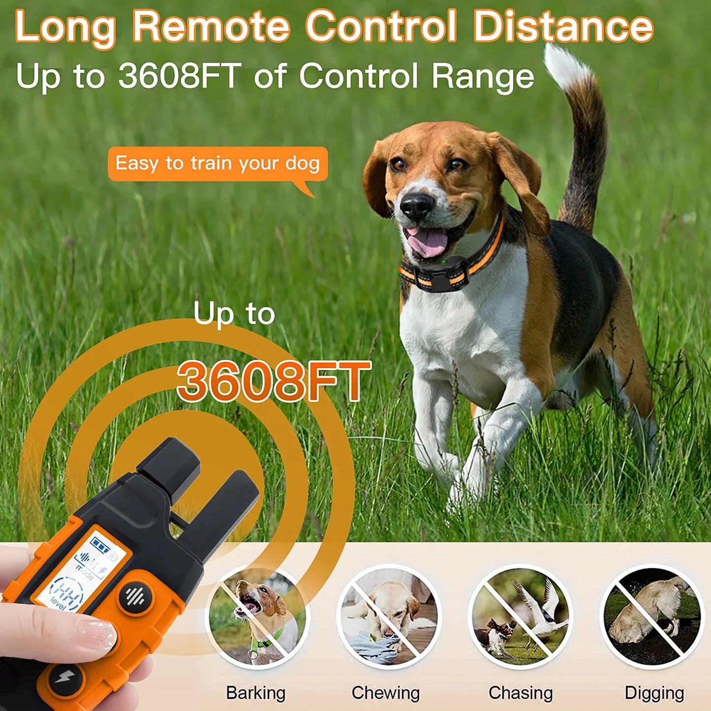 All-in-One Dog Training Collar