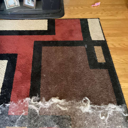 Complete Home Survival Kit